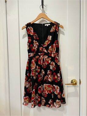 Madewell Floral V-Neck Fit & Flare Dress